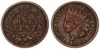 USA 1 Cent One Cent Indian Head -