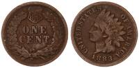 USA 1 Cent One Cent Indian Head -