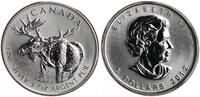 Kanada 5 Dollar Wildlife Elch -