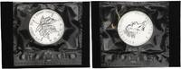 Kanada 5 Dollar Maple Leaf, 1 Unze Silber -