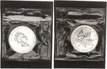 Kanada 5 Dollar 1 Unze 1 oz Silber Maple Leaf -