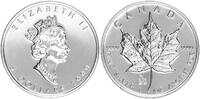 Kanada 5 Dollar Maple Leaf - Privy Mark Y2K, 1 Unze Silber -