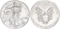 USA 1 Dollar American Eagle -