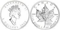 Kanada 5 Dollar Maple Leaf Privy Mark - Feuerwerk Neujahr 2000 1oz Silber -