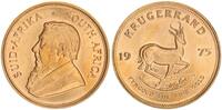 Südafrika Krügerrand 1 Unze Gold -