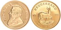 Südafrika Krügerrand 1 Unze Gold -