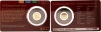 Togo 1500 Francs Gold 110. Todestag Rudolf Diesel 0,5g Coin Card -