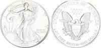 USA 1 Dollar 1oz Silber American Eagle -
