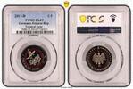 Germany-Federal Rep € 5 Deutschland 5 Euro Tropische Zone 2017 PP - Münzzeichen D PCGS zertifiziert -