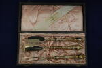 Deutschland Vorlegebesteck, 3 Teile, Jugendstil Vorlegebesteck (Fisch), 3 Teile, Jugendstil, versilbert, teilvergoldet -