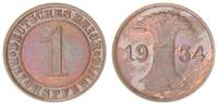 Deutschland / Weimar 1 Pfennig Weimar 1 Reichspfennig J.313 1934 E (2) -