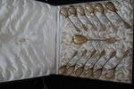 Deutschland 12 Kaffeelöffel, 1 Sahnelöffel, früher Jugendstil 12 Kaffeelöffel, 1 Sahnelöffel, früher Jugendstil, 1899 -