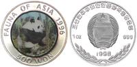 Nordkorea Korea Panda 500 Won Nordkorea 500 Won 1996 Panda - 1 Unze Silber -