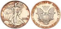USA 1 Dollar American Eagle Liberty - 1 Unze Feinsilber -