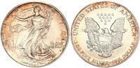 USA 1 Dollar American Eagle Liberty - 1 Unze Feinsilber -