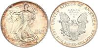 USA 1 Dollar American Eagle Liberty - 1 Unze Feinsilber -