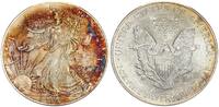 USA 1 Dollar 1 Unze Silber USA 1 Dollar American Eagle Liberty - 1 Unze Feinsilber -