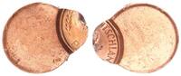 Deutschland 1 Pfennig Fehlprägung: 90% dezentriert -