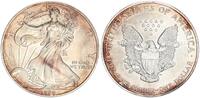 USA 1 Dollar American Eagle Liberty - 1 Unze -
