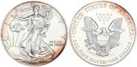 USA 1 Dollar American Eagle Liberty - 1 Unze -
