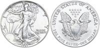 USA 1 Dollar American Eagle Liberty - 1 Unze Feinsilber -
