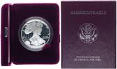 USA 1 Dollar American Eagle 1 oz Feinsilber mit Box -