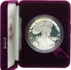 USA 1 Dollar American Eagle 1 oz Feinsilber mit Box und Zertifikat -
