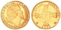 Hessen Darmstadt 10 Gulden / 1 Karolin Ernst Ludwig Gold -