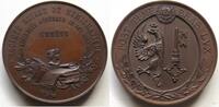 Numismatik/Schweiz Bronzemedaille Société Suisse de Numismatique. Assemblée Générale Geneve, selten! -