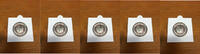 Bundesrepublik Deutschland 5 Euro Subtropische Zone -