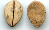 Weltmünzen Ancient bone cowrie-coin (no teeth/holes), W.Zhou, 1046-771 BC, China (Schjoth#A -