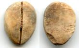 Weltmünzen Ancient bone cowrie-coin (no teeth/holes), W.Zhou, 1046-771 BC, China (Schjoth#A -