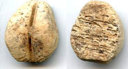 Weltmünzen Ancient bone cowrie-coin (no teeth/holes), W.Zhou, 1046-771 BC, China (Schjoth#A -