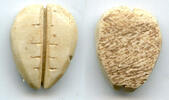 Weltmünzen Ancient bone cowrie-coin (teeth/no holes), W.Zhou, 1046-771 BC, China -
