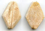 Weltmünzen Rare red-stained large stone cowrie-shell coin, 2nd-1st millennium BC, NE China -