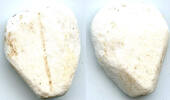 Weltmünzen Rare large stone cowrie-shell coin, 2nd-1st millennium BC, NE China -