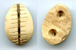 Mittelalter Ancient bone cowrie-coin (teeth and two holes), W.Zhou, 1046-771 BC, China -