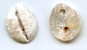 Mittelalter Rare mother of pearl cowrie-coin, W.Zhou dynasty (1046-771 BC), China - Hartill -