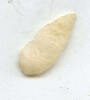 Ancient artifacts and weapons, arrowheads Chart willow leaf arrowhead, North Africa, late Neolithic period, ca.3000 BC -