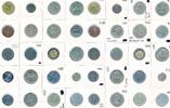 World Lot 20 coins -
