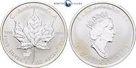 Kanada 5 Dollar 2002 1 Unze Silber Maple Leaf, Privy Mark Pferd, Lunar S... 49,00 EUR  zzgl. 10,00 EUR Versand