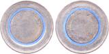 Deutschland  5 Euro Rohling Klimazonen Randinschrift 2017 blaues Polymer