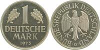 Deutschland 1 DM 1 Mark 1973 G PP J 385 Proof -