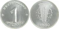 d 1 Pfennig DDR 1950E stgl./matt EA Lichtenrader Prägung !!!