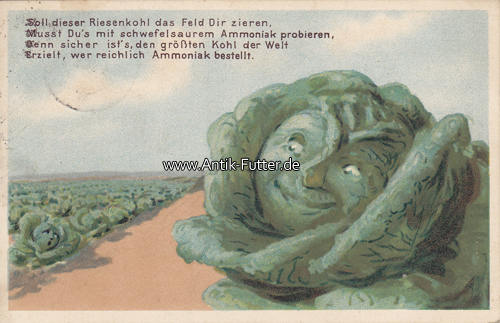 Deutsches Reich 1924 Ansichtskarte / Postkarte / Reklame fr den groen  Kohl, Dngemittel, Ammoniak 2-3 | MA-Shops
