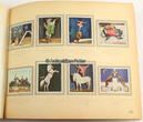 Dresden 1934 Sammelbilderalbum / Varieté und Zirkus / Bergmann, Zigarettenfabrik, Haus... 1-2