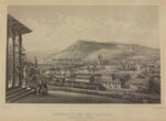 Neustadt / Haardt 1855 Stahlstich / Neustadt an der Haardt / Südöstliche Ansicht (Rhein-Pfalz) 2