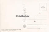 O.J. Ansichtskarte / Postkarte / Zeppelin / Der Bodensee 2-3