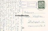 Offenhausen / Gomadingen 1962 Ansichtskarte / Postkarte / Jährlinge auf der Koppel 2-3