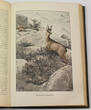 Deutsches Reich 1899 Ed. Czynk, E. v. Dombrowski, O. Grashey u. a. / Die Hohe Jagd 2-3
